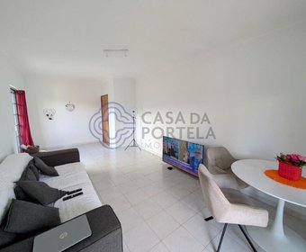 Canas de Senhorim,  PT