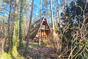 Orła