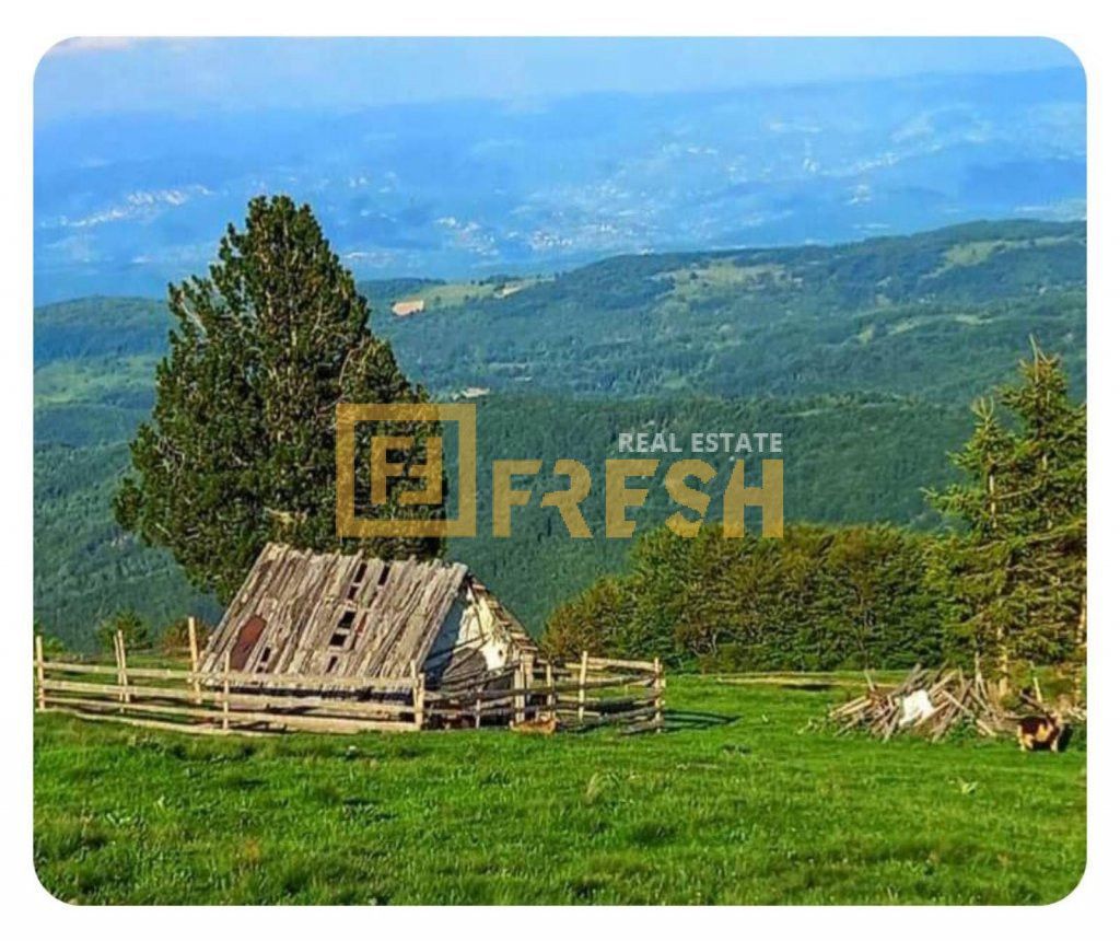Northern Region, Berane