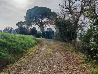 Recanati,  IT
