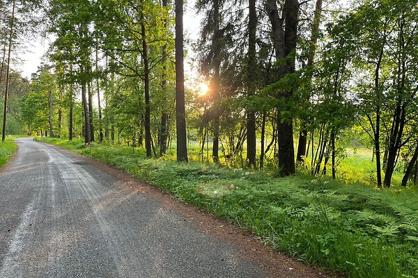 Võrumaa, Võru vald, Roosisaare