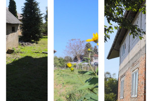 Wołów