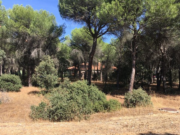 Tordesillas,  ES
