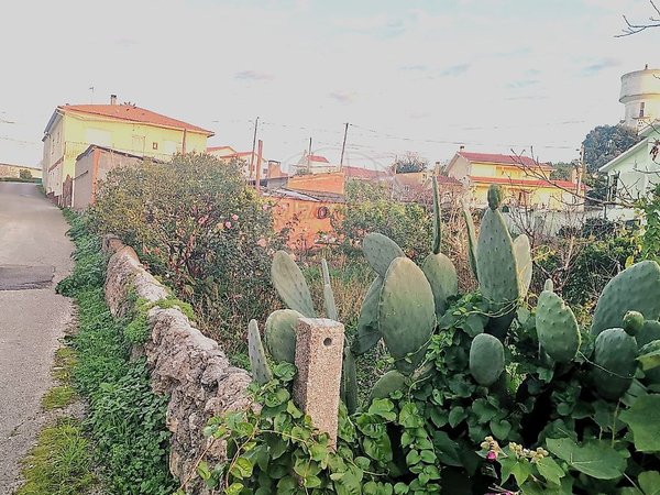 Alfarelos,  PT