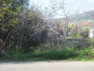 Agioi Theodoroi,  GR