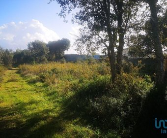 Lavos,  PT