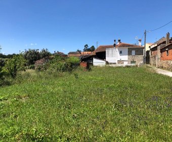 Santa Comba Dão,  PT