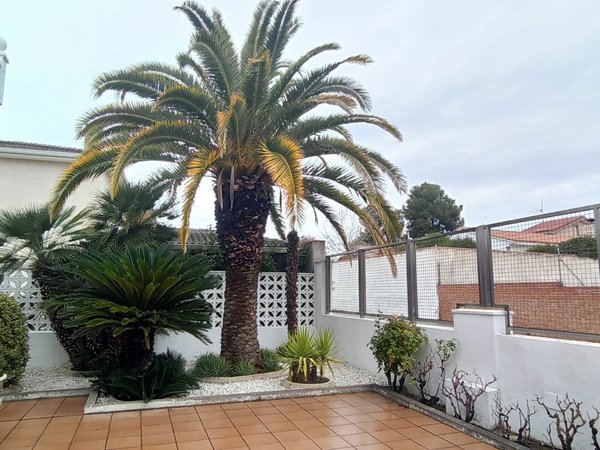 Arganda,  ES