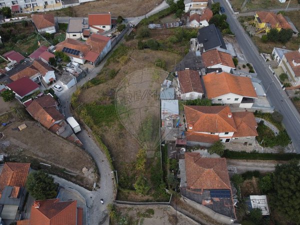 Galegos,  PT