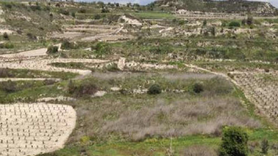 Pachna, Limassol
