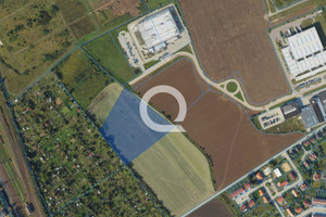 Tczew