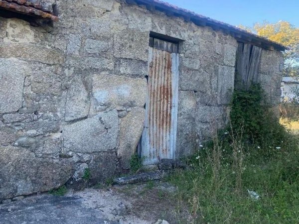 Canas de Senhorim,  PT