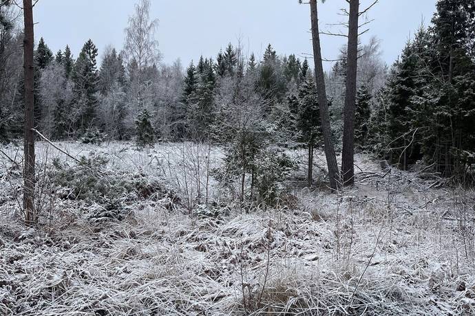 Blidö, Norrtälje kommun