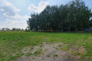 Oława