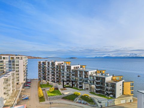Hamnneset 147, Harstad