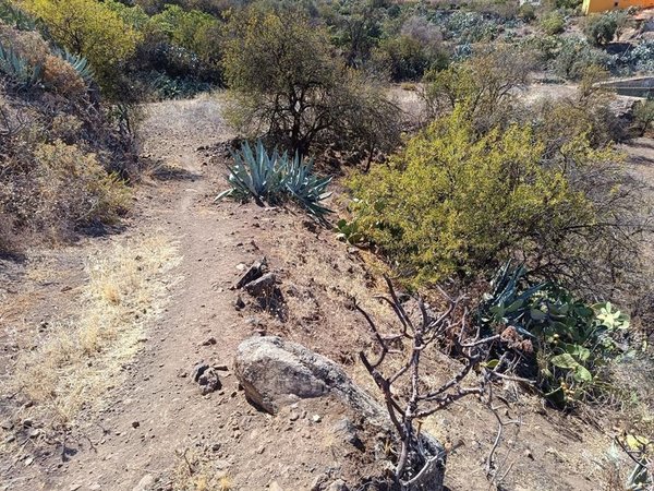 Valsequillo de Gran Canaria,  ES