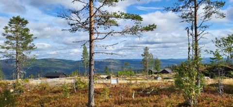 Trysilfjell hytteområde 2079, Trysil