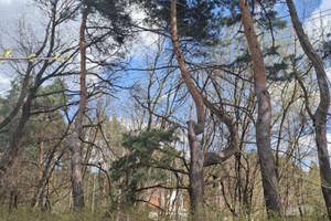 Międzylesie