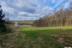 Michałowice
