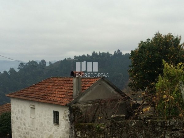 Cinfães,  PT