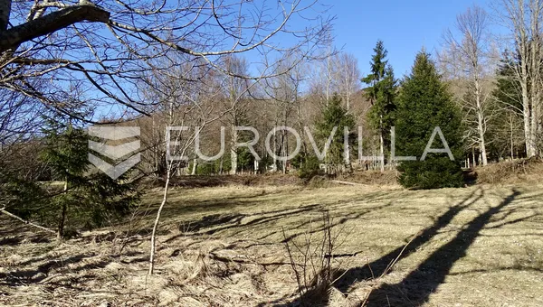 Lučice