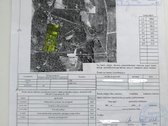 Pagėgių sav. Saulių vs.