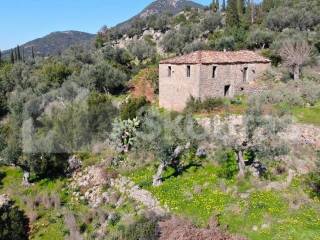 Arfara,  GR