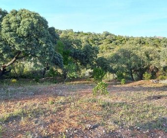 Santa Bárbara de Nexe,  PT