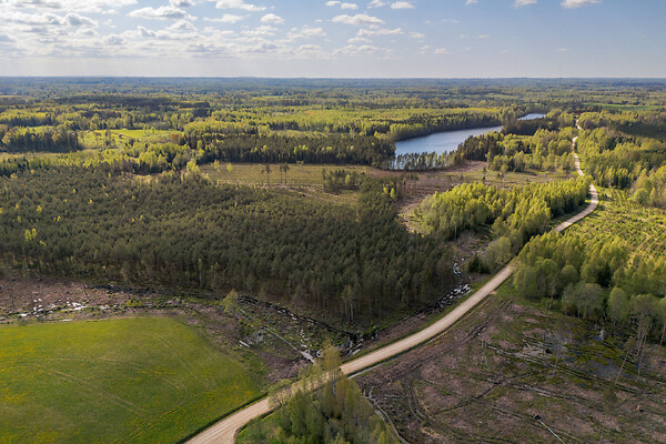 plot for sale, land-profit land - Heisri, Kanepi vald, Põlvamaa