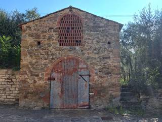 Arezzo,  IT