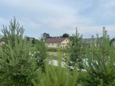 Rietavo sav., Tverų mstl. Kalno g.