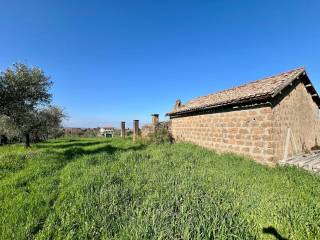 Zagarolo,  IT