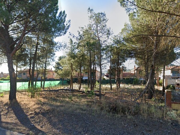 Tudela de Duero,  ES