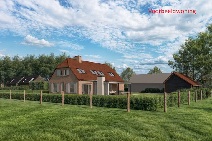 8101 Raalte