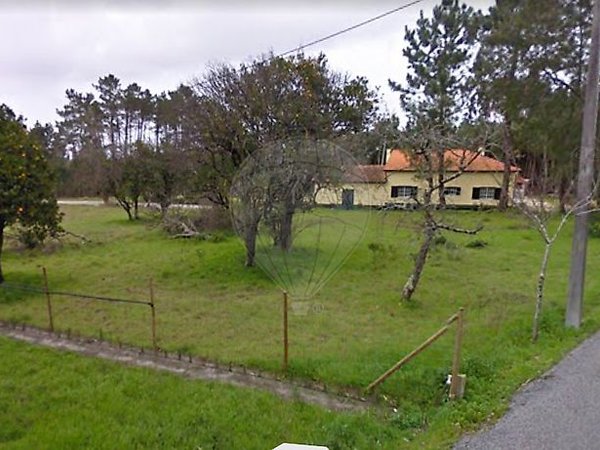 Arazede,  PT
