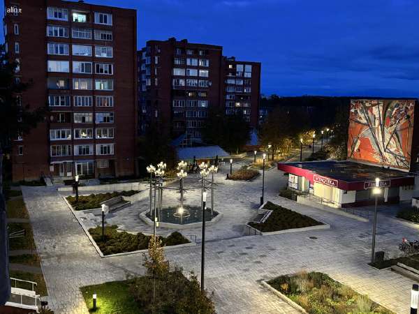 Visaginas, Sedulinos al., prieš 1 val.