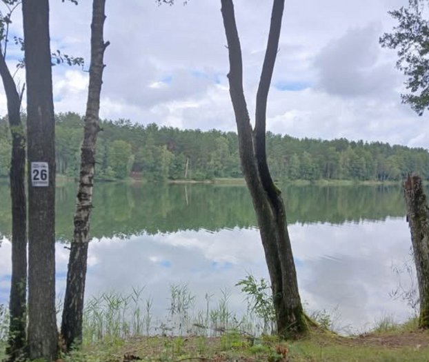 Druskininkai, Grūto k., Ilgio g., spalio 28, 2025