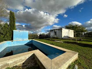 Carmona,  ES