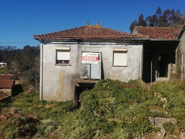 Cortegaça,  PT