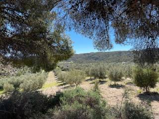 Sorbas,  ES