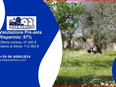 Palo del Colle,  IT