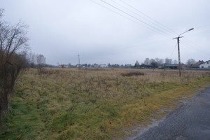 Nowodwór