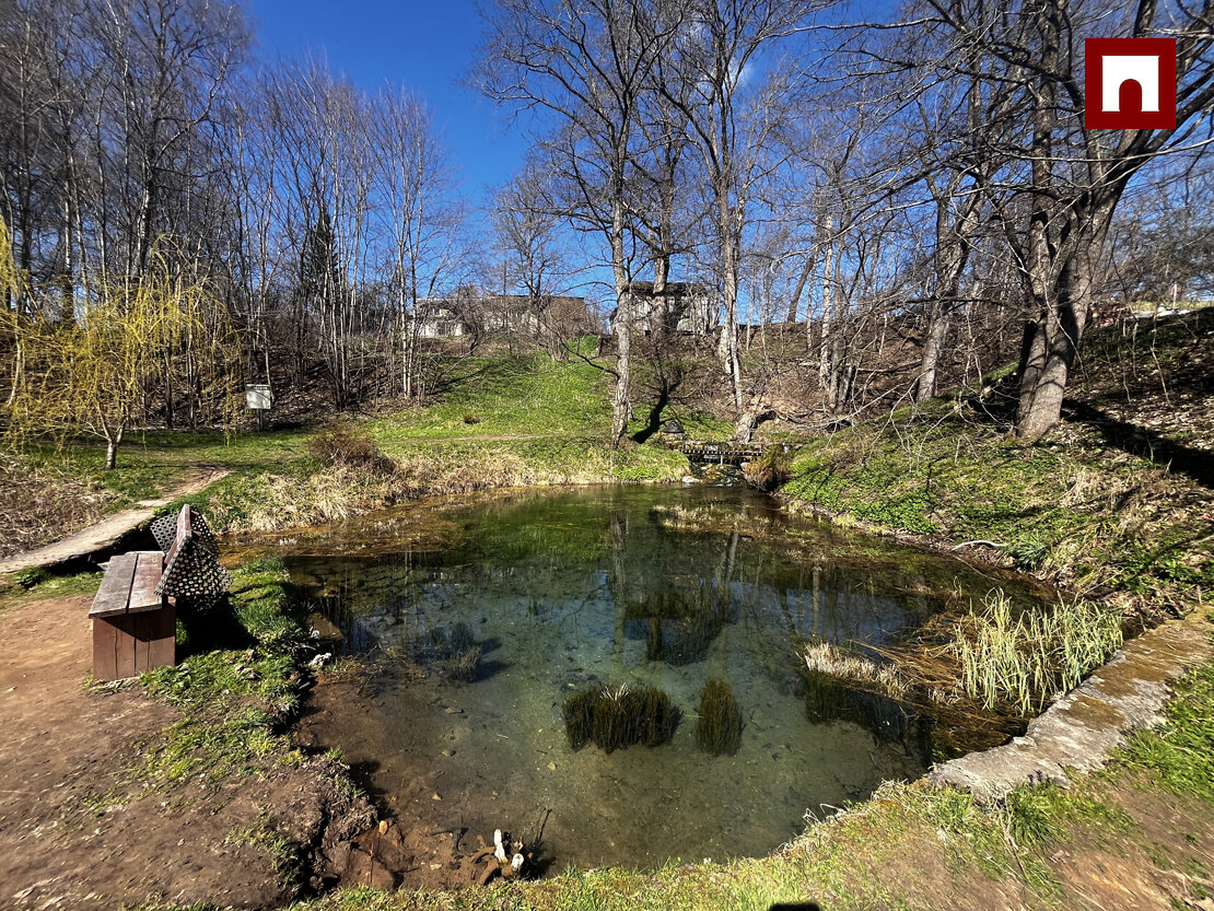 Saltavota iela, Kalnabeites