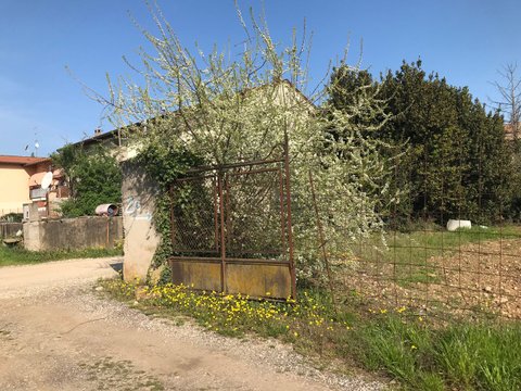 Castelnuovo del Garda,  IT