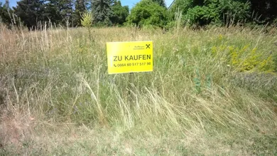 7083 Purbach am Neusiedler See
