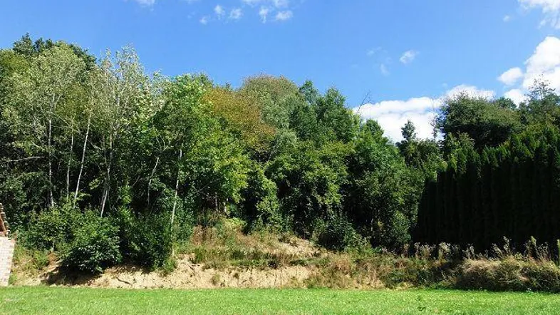 Dorf 9, 7534 Olbendorf