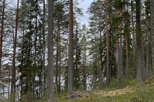 Kopanniementie, Lannevesi, Saarijärvi