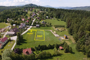 Kurów