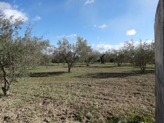 Moratalla,  ES
