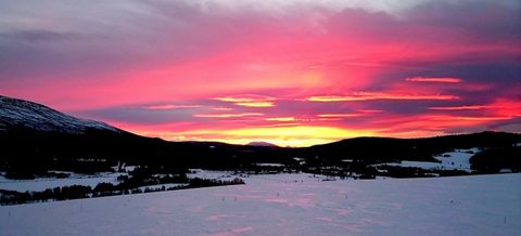 Røros